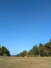soraの画像