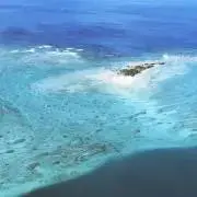まこの画像