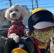 じゅんまるの画像