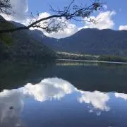 緊急灯の画像