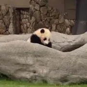 ひろぽん
