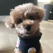 nanaの画像