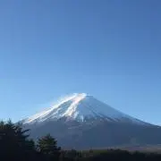 タイガー
