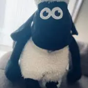 クレイ【簡易梱包】  プロフ必見