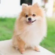 TAKAHIROの画像