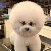 まっるぅの画像
