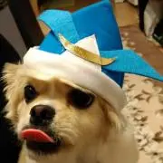 Charlie購入前にプロフ必読!