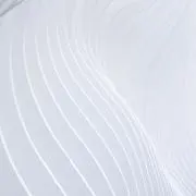 qqの画像