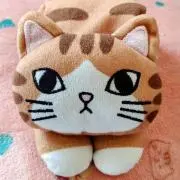 猫店長はなの画像