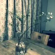 あきちゃんの画像