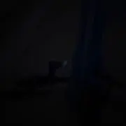 ‪·͜·の画像