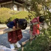 めがね食堂の画像