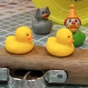 ぷめーの画像