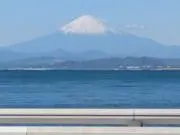 ❣️9393❣️の画像