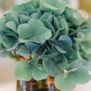 ☆ツイてる358☆の画像