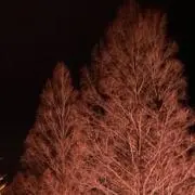 mの画像