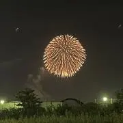 ひな　※お値下げ交渉可　プロフ必読の画像
