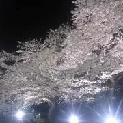 ちょ