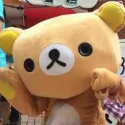 カラマリの画像