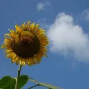 断捨離中の画像