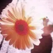 ENRIの画像