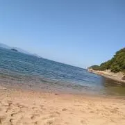 とくい