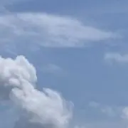 ぱるむ