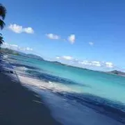 ayu11の画像