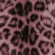 あの画像