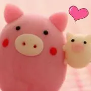 いろはの画像
