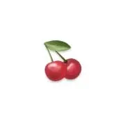 花♡プロフ必読の画像