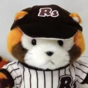 コウペンちゃん ねこじゃらし持っておでかけ ぬいぐるみ S - メルカリ