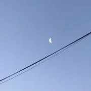 きのこの画像