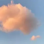 あの画像