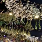 深鶴の画像