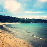 seaの画像