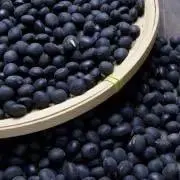 黒豆茶