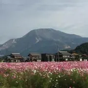 ハイカー