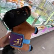 サラコレ集め中【出品６月末まで】の画像