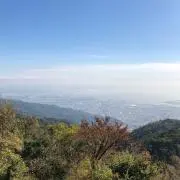 bomsの画像