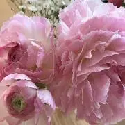 Hope☆《断捨離中》の画像