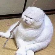 エリテン先生
