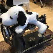 chiiの画像