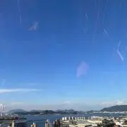 魚☆プロフ必読