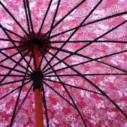 yuの画像