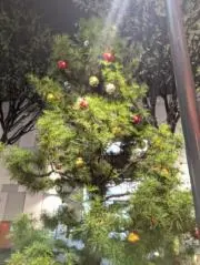 lの画像