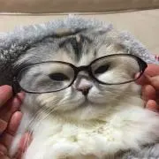まなもんの画像