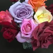 ながいシッポ プロフ必読の画像