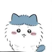 蜜柑の画像
