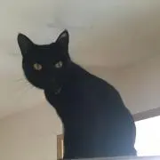 みこの画像